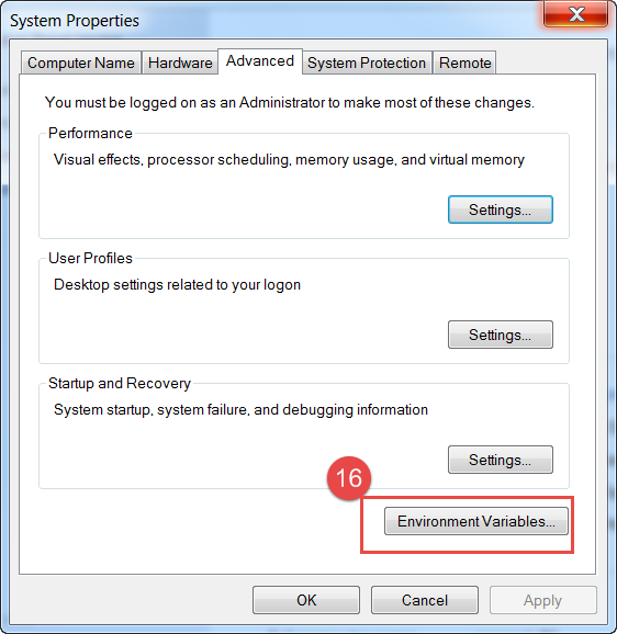 Environment Variables