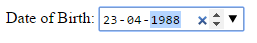 HTML5 date input example4