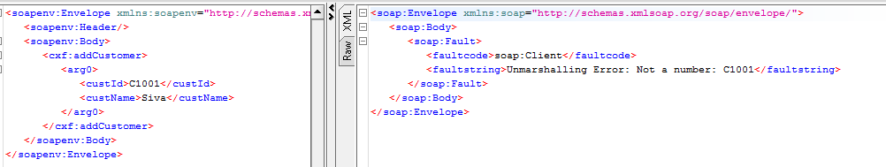 Fig - The request with the invalid input data and fault response details