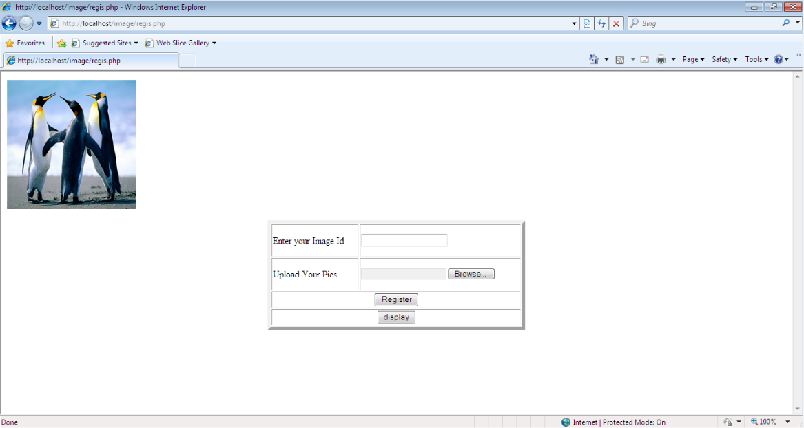 Fig - Execution Output - 4